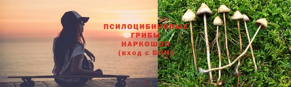 ECSTASY Киренск